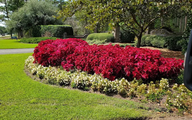 Hyams Garden & Accent Store — Garden center