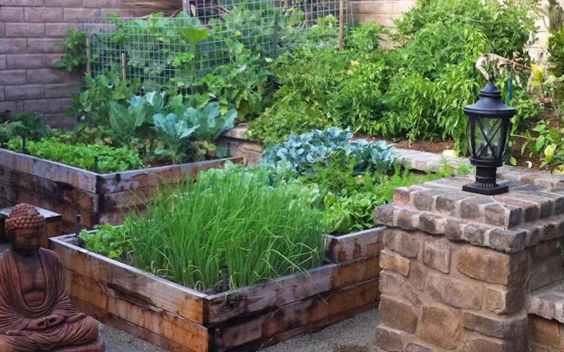 Serrano Creek Soil Amendments — Topsoil supplier