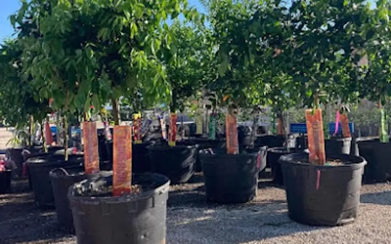 Solara Garden Center (Formerly Brewer’s Nursery) — Plant nursery