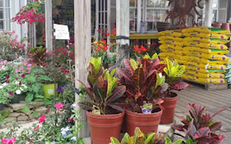Sunshine Plant House — Plant nursery