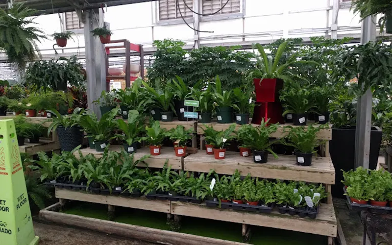 Strange's Florist & Garden Center — Florist