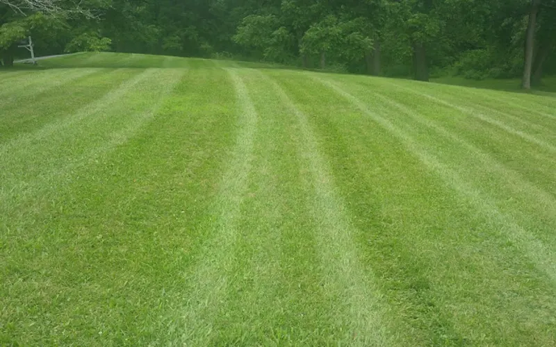 Hour Lawn Service — Lawn care service