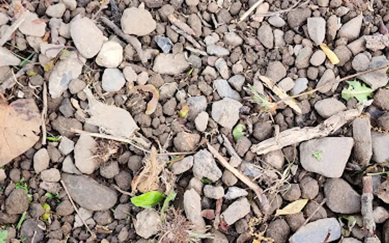 Action Top Soil Inc — Topsoil supplier