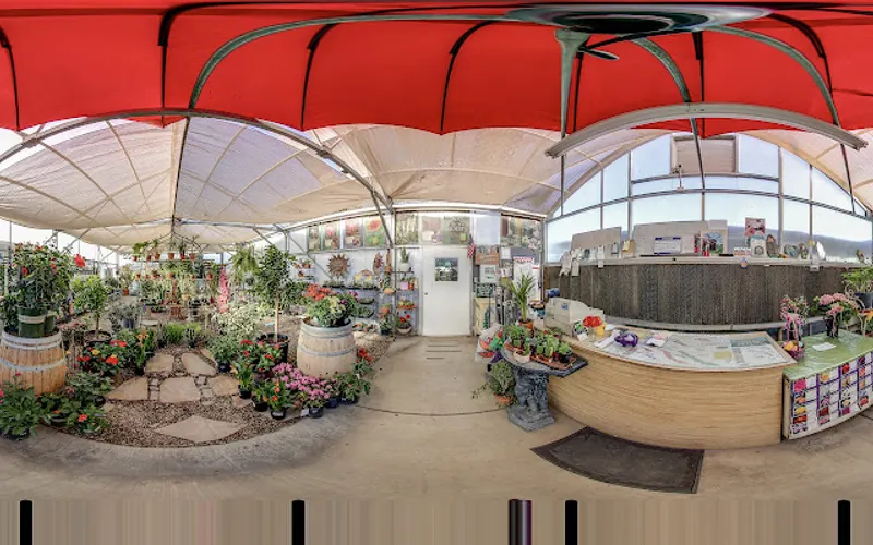 Hollandutch Nursery — Plant nursery