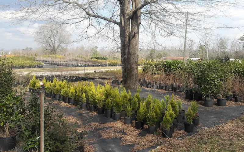 Wind In the Willows Nursery — Plant nursery