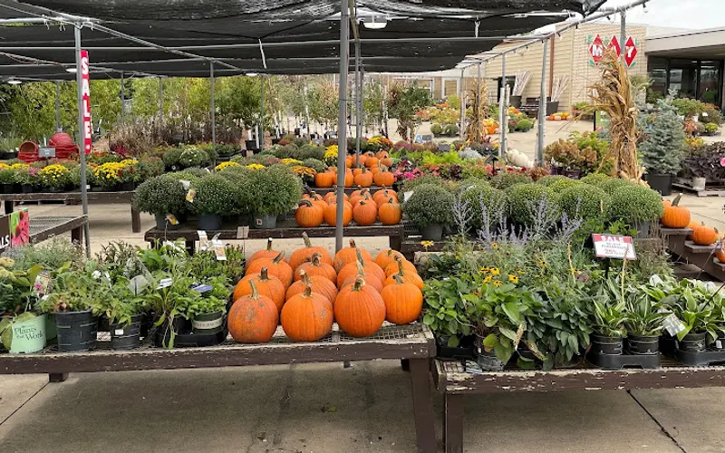 Earl May Garden Center — Garden center