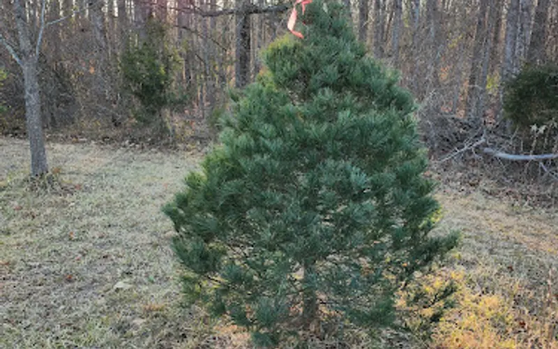 Jerry Pheifer — Landscaping supply store