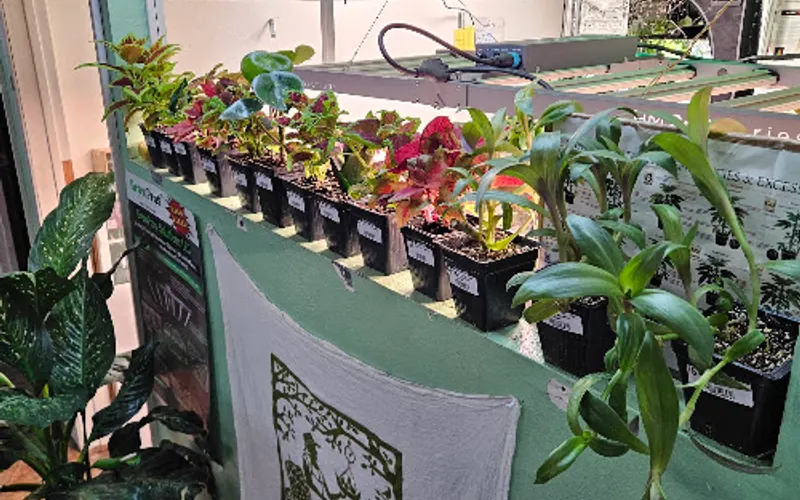 AHL Garden Supply — Garden center