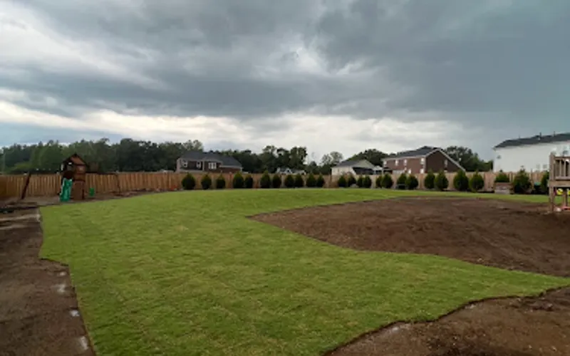 Gladiator Sod Installation and Landscape — Sod supplier
