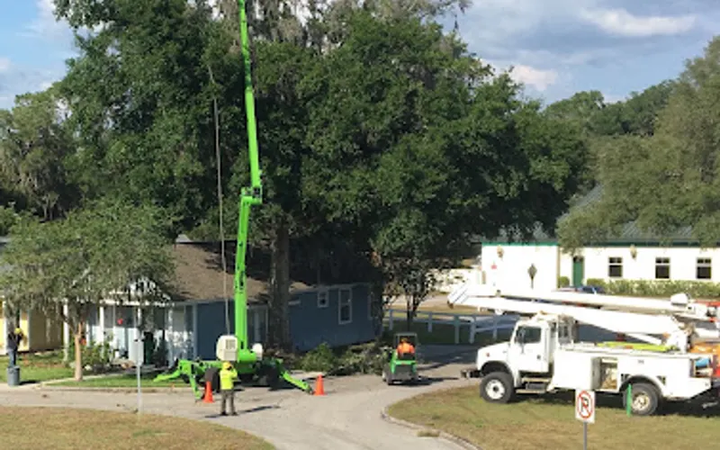 Stutzman Brothers Tree Service — Tree service