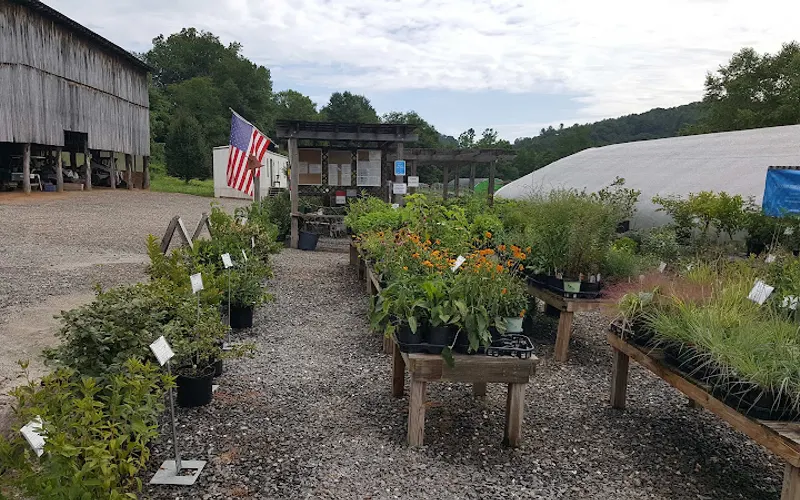 Carolina Native Nursery — Garden center