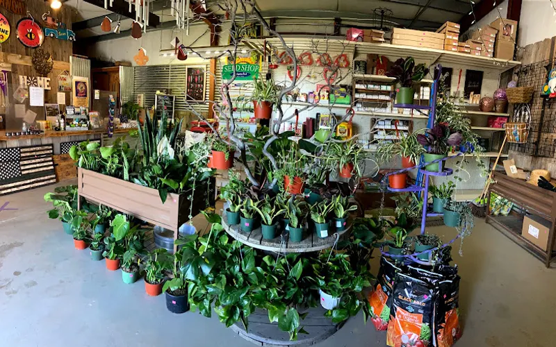 Sierra View Nursery — Plant nursery