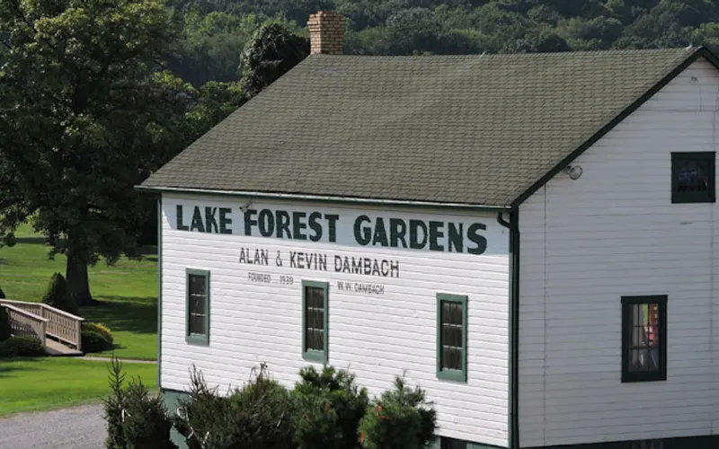 Lake Forest Gardens — Tree farm