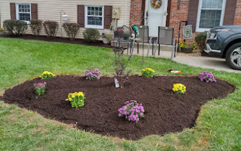 Noel's Tree Services LLC — Tree service