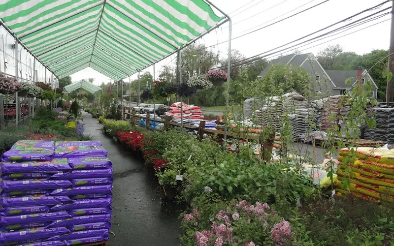 Treeland Garden Center & Nursery — Topsoil supplier