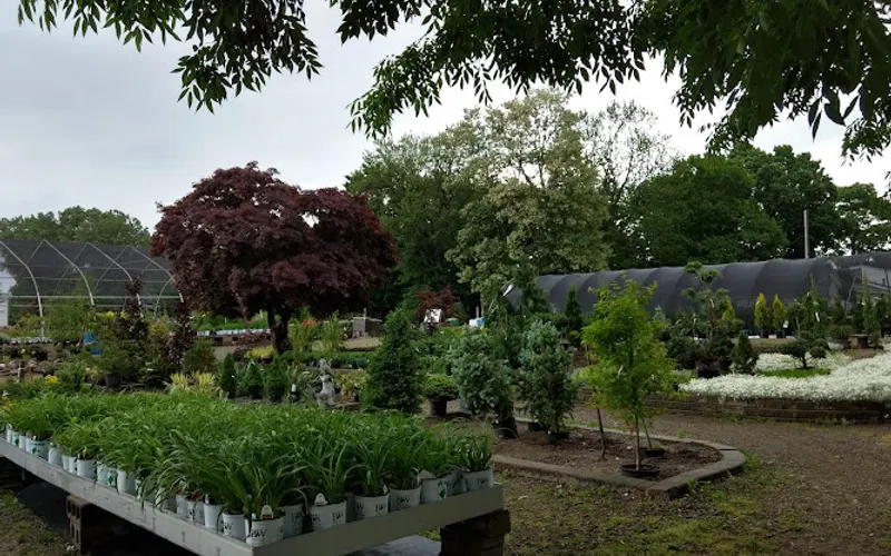 Stan's Garden Center - East Location — Garden center