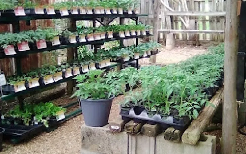411 Feed Seed & Garden Center — Garden center