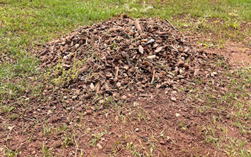 Collins Landscape — Landscaping supply store