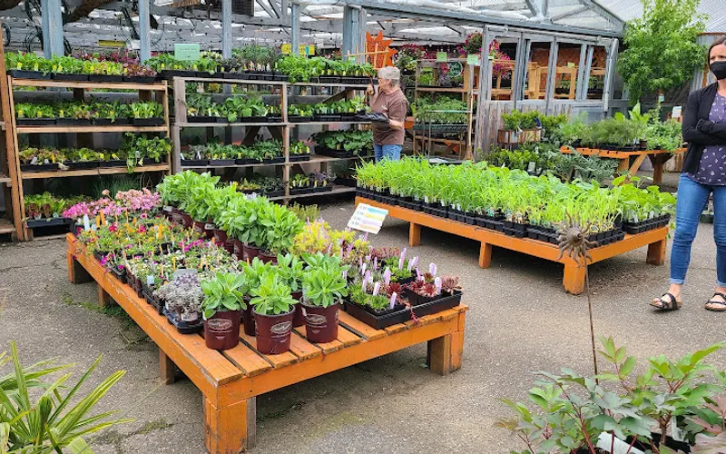 My Garden Nursery — Garden center