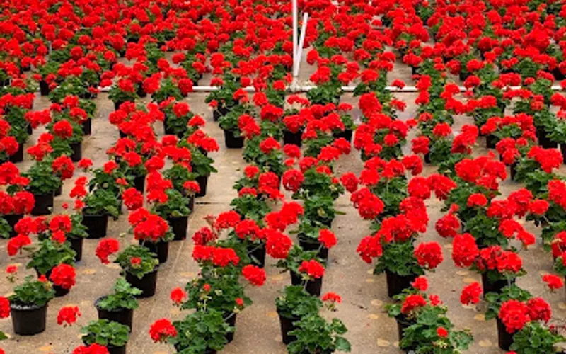 Orban's Nursery Inc — Garden center