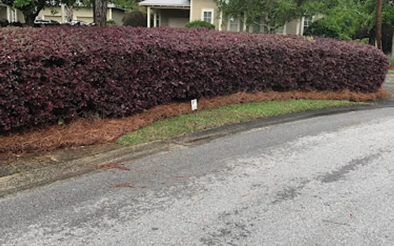 PINESTRAW DIRECT SOUTHEAST INC — Landscaping supply store