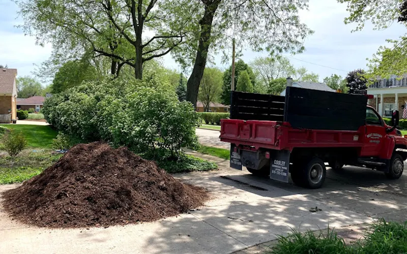 Best Budget Tree Service Firewood & Mulch — Tree service