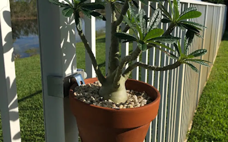 Plant Stand Factory — Garden furniture shop