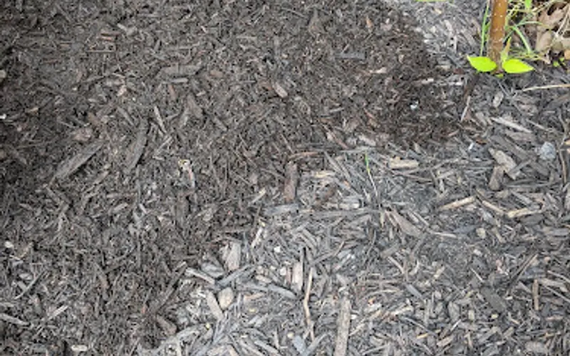 Ohio Mulch — Mulch supplier