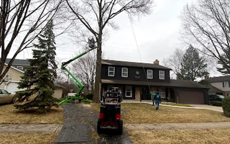 Alejandres Tree Service inc — Tree service