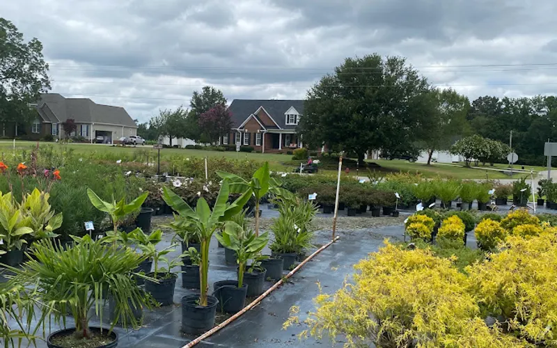 Great Gardens Nursery & Landscape — Landscape designer