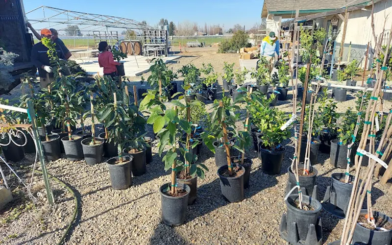 Merced Gardens and Nursery — Plant nursery