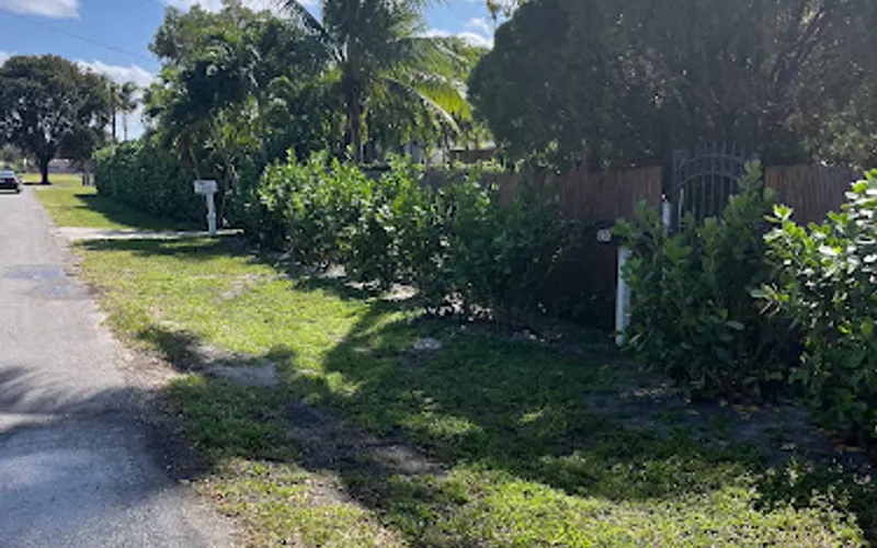 C S Designer Landscaping LLC — Landscape architect