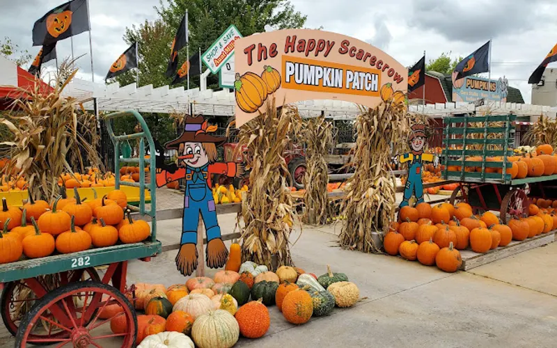 Tim Wallace Landscape Supply and Aunt Millie's — Garden center