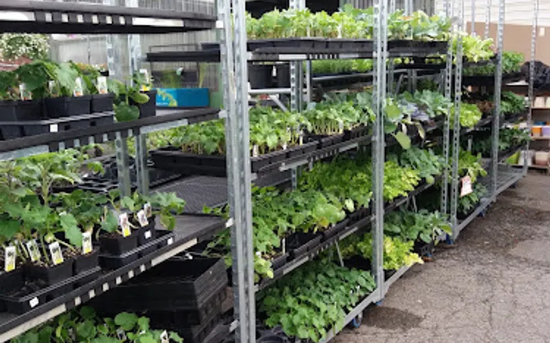 Yard Place — Garden center