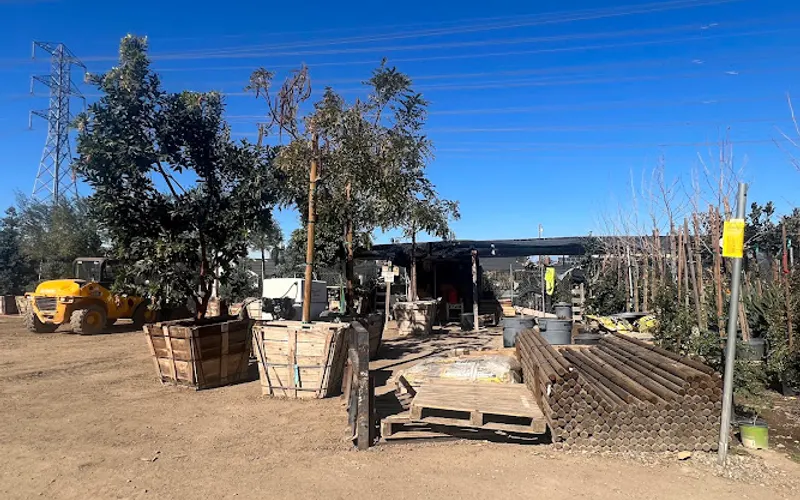 Sunny Slope Trees — Garden center
