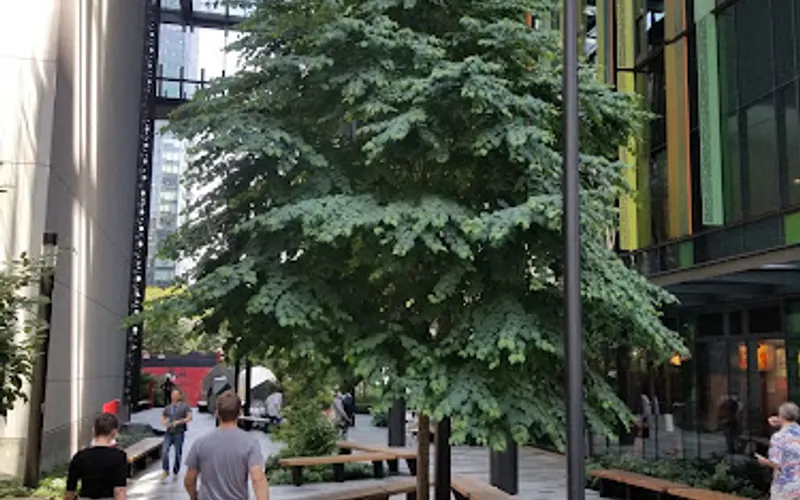 Citygreen USA — Landscaping supply store