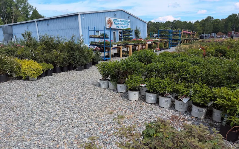 Little Sasquatch Farm and Garden — Animal feed store