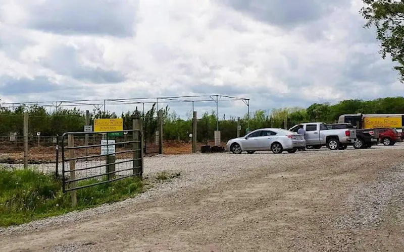 Bentley Ridge Tree Farm — Garden center