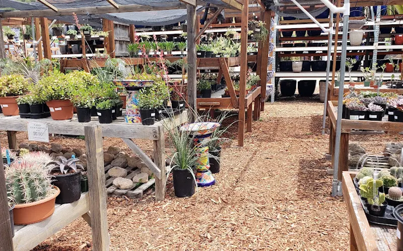 Planter Paradise Inc — Pottery store