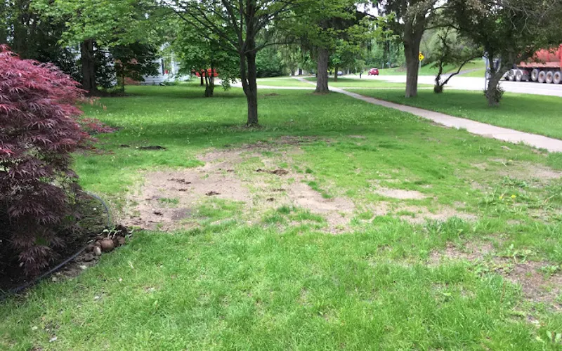 NJDeDecker Services — Lawn care service