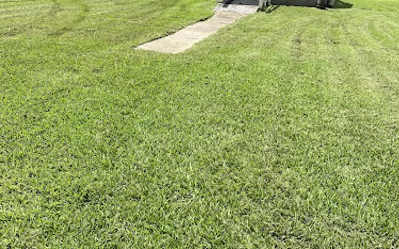 Complete Lawn Care — Lawn care service