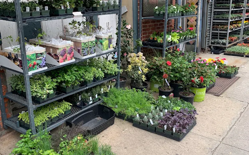 Botanica Garden Center — Garden center