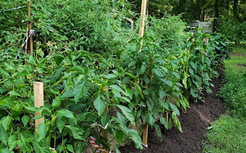 Environmental Compost Facility - Lafayette Consolidated Government — Waste management service