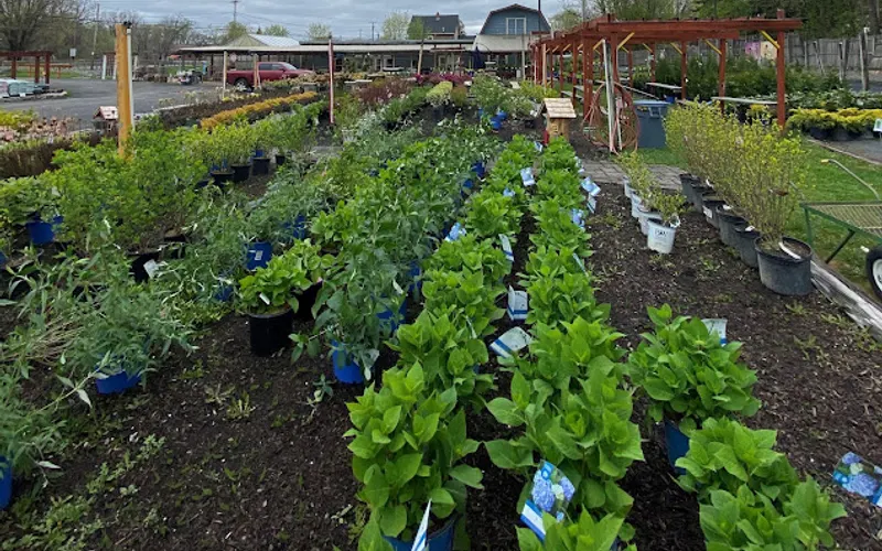 Morgan Meile Garden Center — Garden center