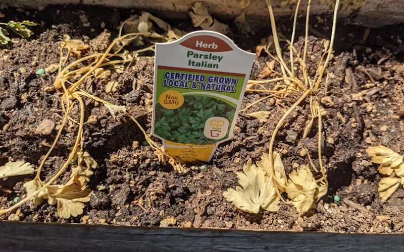 Armstrong Garden Centers — Garden center