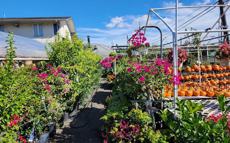 Alpine Nursery & Garden Center — Landscaping supply store