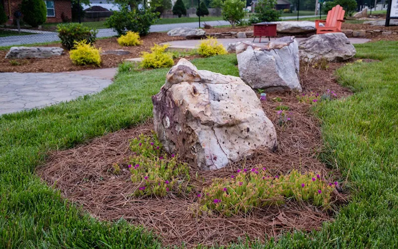 Cason Builders Supply — Garden center