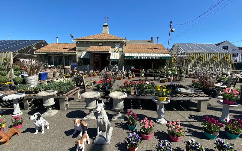 O'Brien's Farm Hill Florist & Garden Center — Garden center