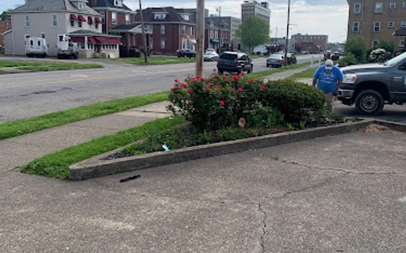 Justin Gue AAA Lawn Care & Landscaping (LICENSED & INSURED) — Lawn care service