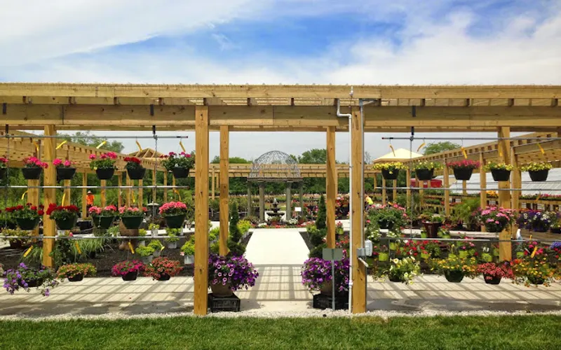 The Tulip Company & More, LLC — Garden center